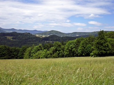 Rhn bei Wildlflecken, Oberbach und Riedenberg