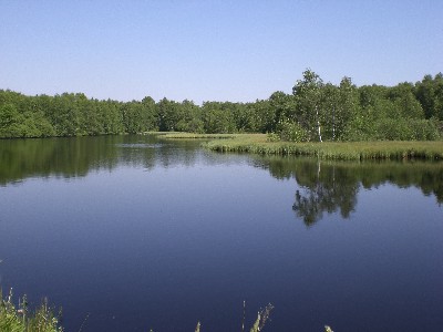 Rotes Moor in der Rhn